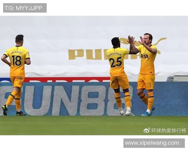 凯恩的传奇之路：从青涩少年到足球巨星的成长历程与荣耀时刻