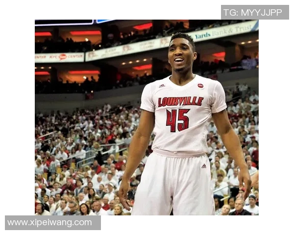 多诺万米切尔：从新秀到全明星的成长之路与篮球传奇的未来展望