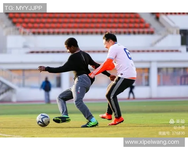 布流浪与斯蒂文尼奇的激烈对决展现足球魅力与团队精神