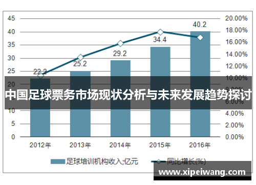 中国足球票务市场现状分析与未来发展趋势探讨