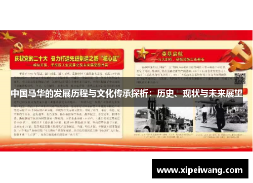 中国马华的发展历程与文化传承探析：历史、现状与未来展望