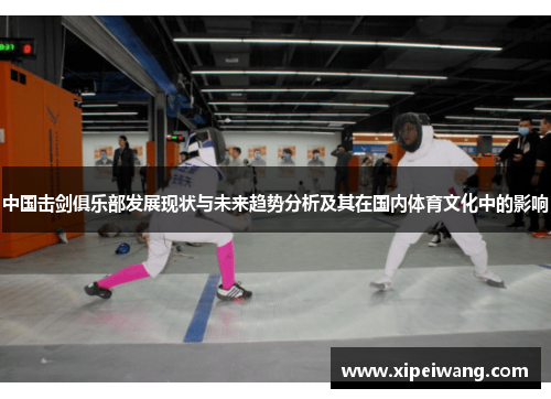 中国击剑俱乐部发展现状与未来趋势分析及其在国内体育文化中的影响