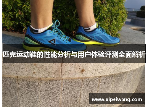 匹克运动鞋的性能分析与用户体验评测全面解析