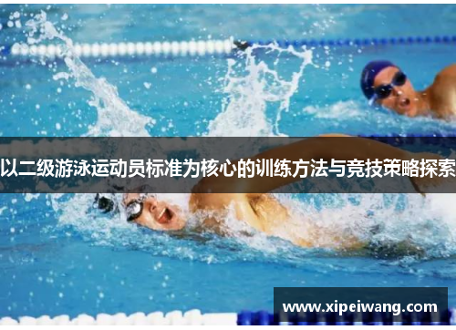 以二级游泳运动员标准为核心的训练方法与竞技策略探索