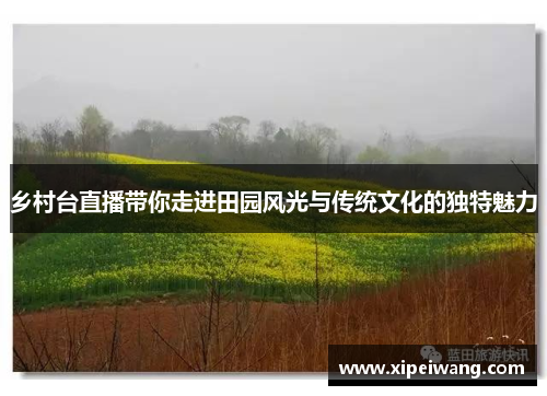 乡村台直播带你走进田园风光与传统文化的独特魅力