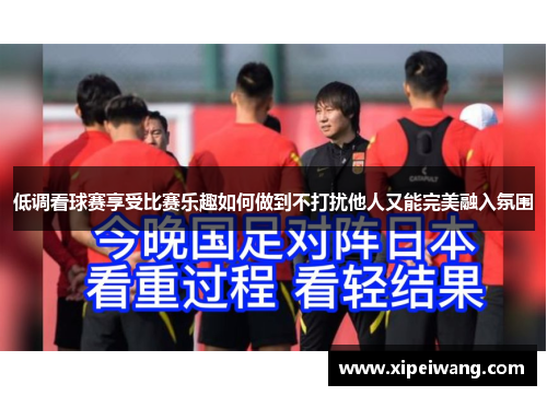 低调看球赛享受比赛乐趣如何做到不打扰他人又能完美融入氛围