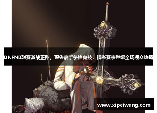DNFNB联赛激战正酣，顶尖高手争锋竞技，精彩赛事燃爆全场观众热情