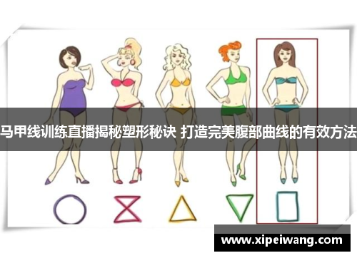 马甲线训练直播揭秘塑形秘诀 打造完美腹部曲线的有效方法